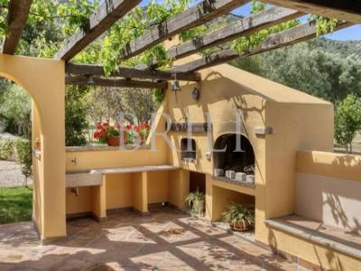 Acheter Maison 450 m2 Olbia