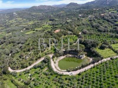 Annonce Vente 14 pi�ces Maison Palau