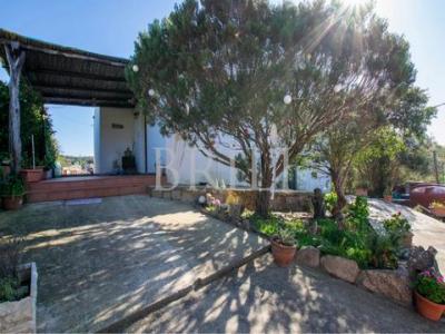 Annonce Vente 5 pi�ces Maison Arzachena