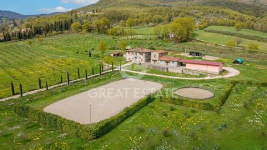 Annonce Vente Maison Castel-focognano