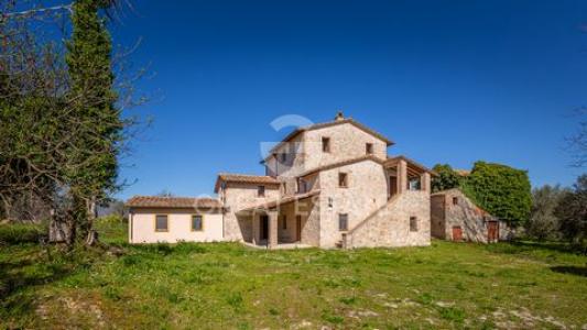 Annonce Vente Maison Avigliano-umbro