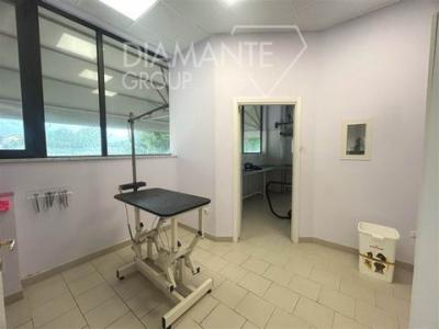 Louer Local commercial Castiglione-del-lago r�gion PERUGIA