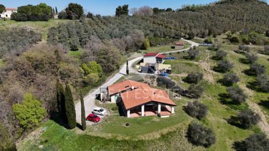 Annonce Vente Maison Cinigiano