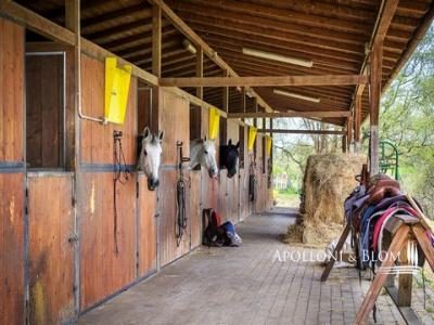 Acheter Maison 431 m2 Castelnuovo-berardenga