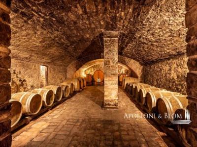 Acheter Terrain 1800 m2 Greve-in-chianti