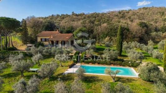 Annonce Vente Maison Monte-san-savino