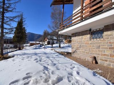 Acheter Maison 136 m2 Predazzo
