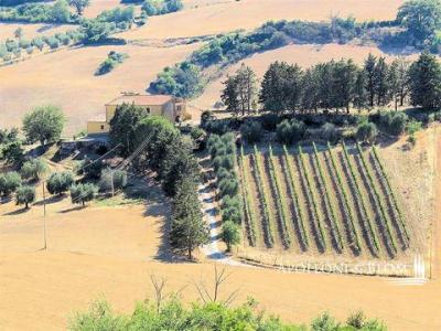 Vente Maison MAGLIANO-IN-TOSCANA  GR en Italie