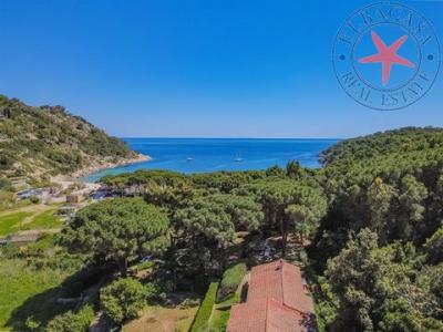 Annonce Vente 5 pi�ces Maison Campo-nell'elba