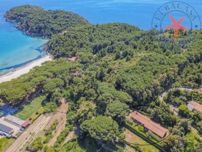 Acheter Maison 206 m2 Campo-nell'elba