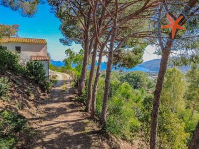 Annonce Vente 3 pi�ces Appartement Capoliveri