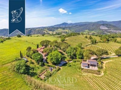 Annonce Vente 5 pi�ces Maison Montescudaio