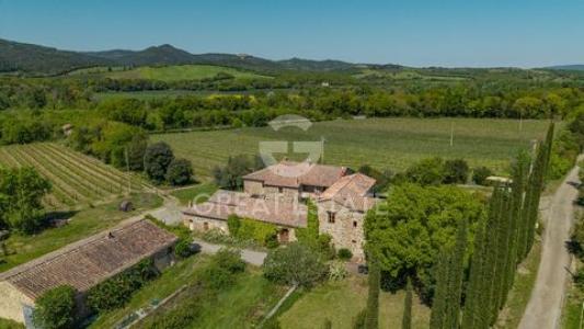 Acheter Maison Montalcino