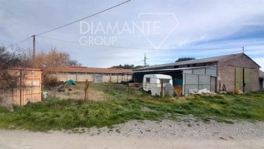 Acheter Maison 380 m2 Pomarance