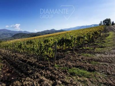 Acheter Maison 32767 m2 Castel-del-piano