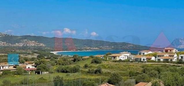Annonce Vente Terrain Budoni