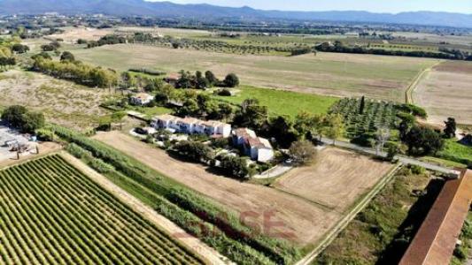 Annonce Vente Terrain Bibbona