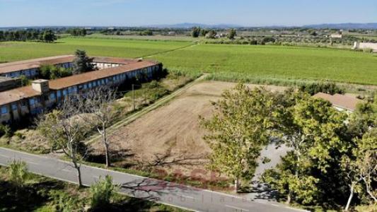 Acheter Terrain 6900 m2 Bibbona