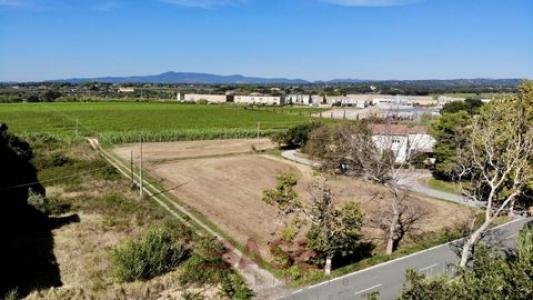 Acheter Terrain Bibbona r�gion LIVORNO