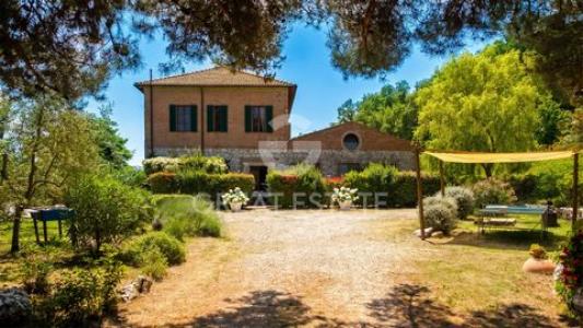 Annonce Vente Maison Radicondoli