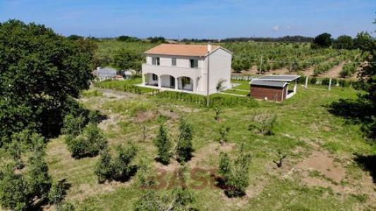 Annonce Vente 8 pi�ces Maison Bibbona