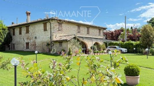 Annonce Vente 7 pi�ces Maison Montefalco