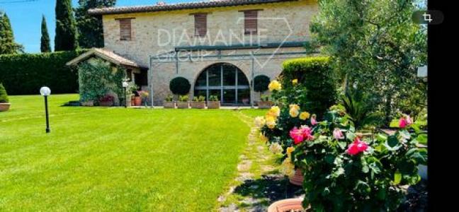 Acheter Maison 1299 m2 Montefalco