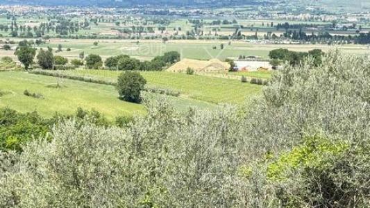 Acheter Maison Montefalco r�gion PERUGIA