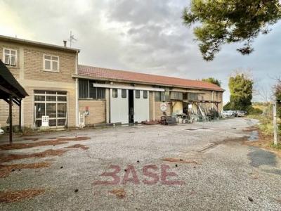 Annonce Vente Local industriel Montescudaio