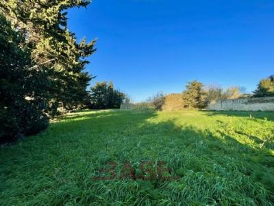 Annonce Vente Terrain Rosignano-marittimo