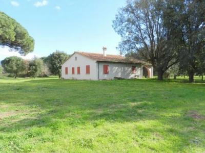 Acheter Maison 1236 m2 Castagneto-carducci
