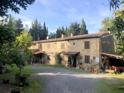 Acheter Maison Montescudaio r�gion PISA
