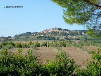 Vente Terrain CASALE-MARITTIMO  PI en Italie