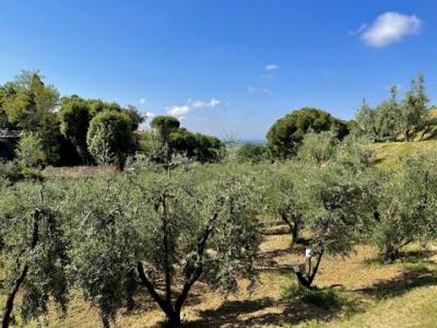 Annonce Vente Terrain Casale-marittimo