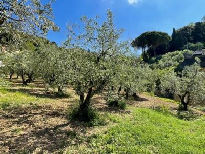 Acheter Terrain 100 m2 Casale-marittimo