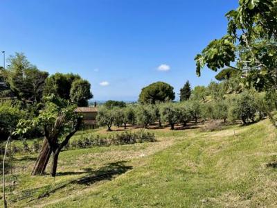 Acheter Terrain Casale-marittimo r�gion PISA