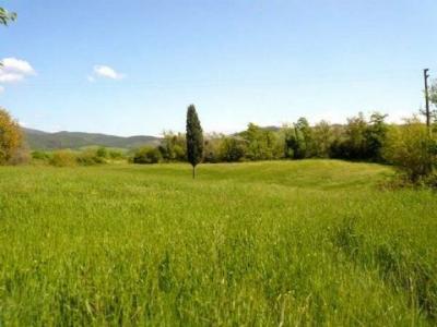 Annonce Vente Terrain Castellina-marittima