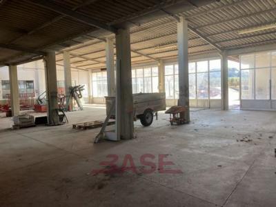 Acheter Local industriel 1150 m2 Cecina