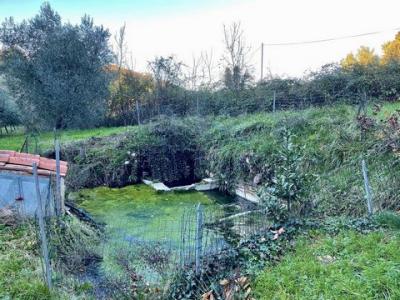 Vente Terrain GUARDISTALLO  PI en Italie