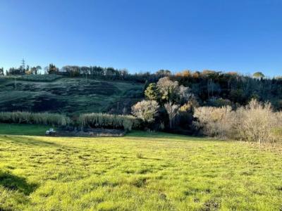 Annonce Vente Terrain Guardistallo