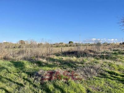 Acheter Terrain Cecina r�gion LIVORNO