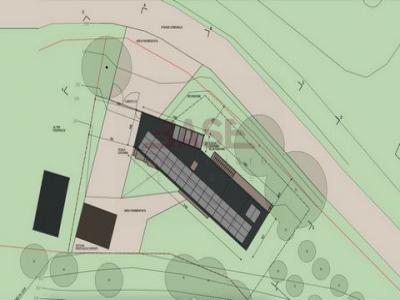 Acheter Terrain Montescudaio r�gion PISA