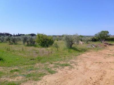 Acheter Terrain 90 m2 Cecina