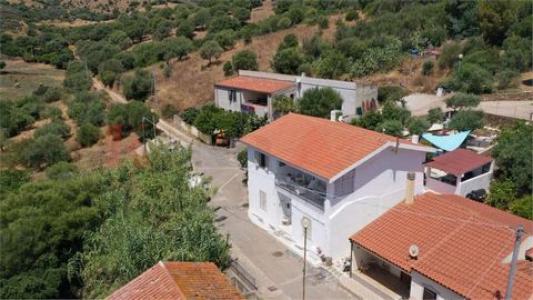 Annonce Vente 9 pi�ces Appartement Budoni