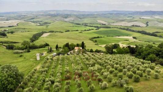Acheter Maison 231 m2 Montecatini-val-di-cecina