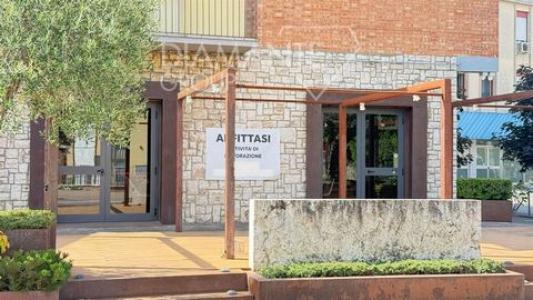 Location Local commercial CASTIGLIONE-DEL-LAGO  PG en Italie