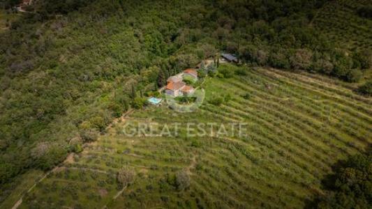 Acheter Maison Loro-ciuffenna r�gion AREZZO
