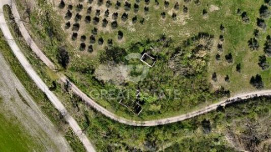 Acheter Maison Asciano r�gion SIENA