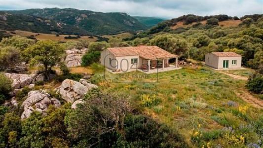 Annonce Vente Maison Aglientu