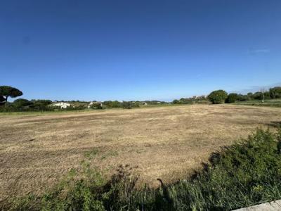 Vente Terrain MONTESCUDAIO  PI en Italie